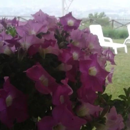 Fonte Cugno Bed & Breakfast