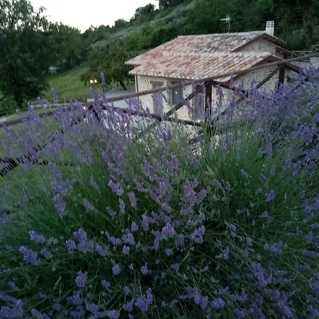 Bed & Breakfast Fonte Cugno